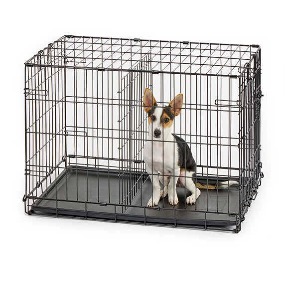 How a Dog Crate Divider Helps With Training and Growing Puppies