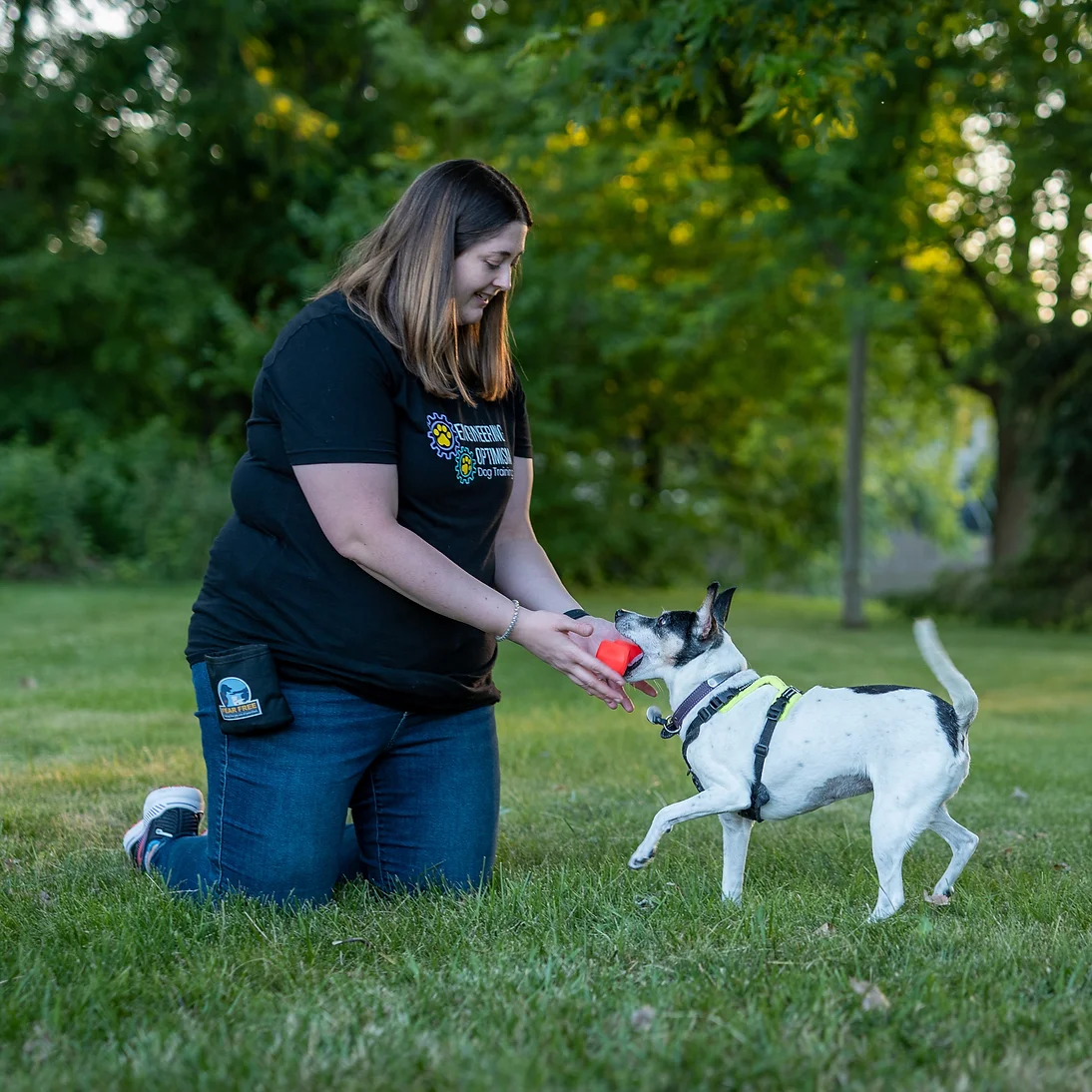Guide to Effective Crate Training with Engineering Optimism Dog Training – Part 1