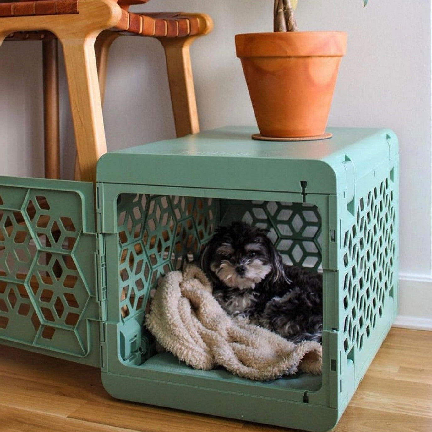 PAWD dog crate in green.
