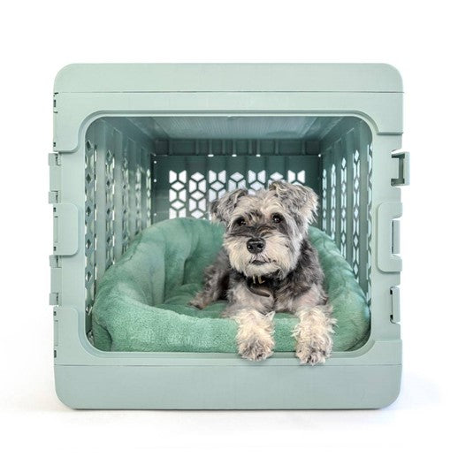 Tips on Teaching Your Dog to Love Their Crate
