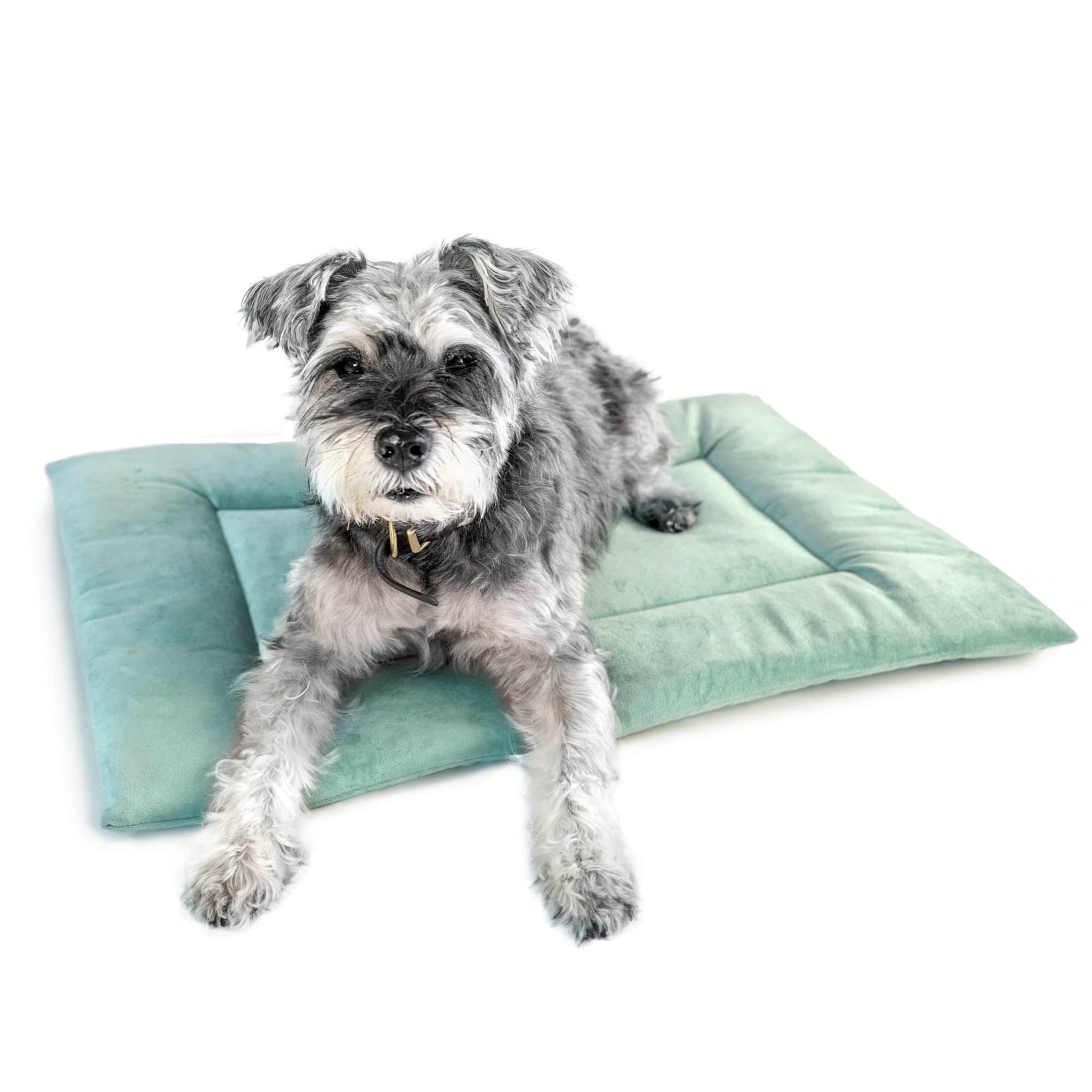 KindTail PAWD crate pad and dog bed with soft fabric, providing a cozy resting spot for dogs inside a crate.