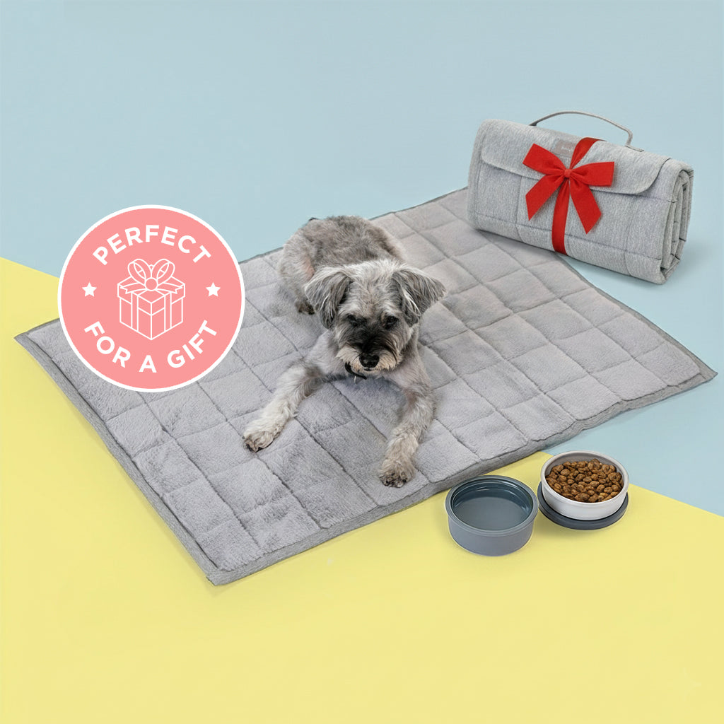 Cozy Companion Bundle - Travel Bed and Bowl - KindTail