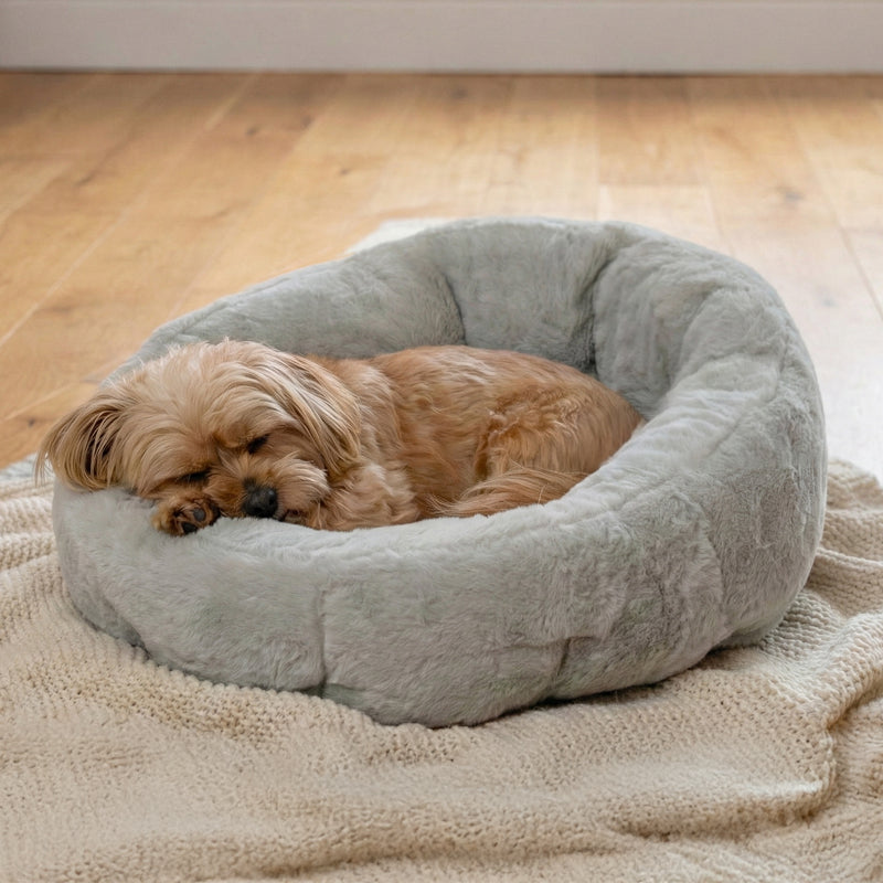 Light grey small Calming Lounger dog bed by KindTail with soft, plush fabric for cozy pet comfort.