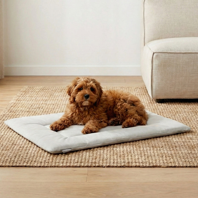 Light grey PAWD crate pad and dog bed by KindTail, soft and comfortable for dogs, designed for crate use.