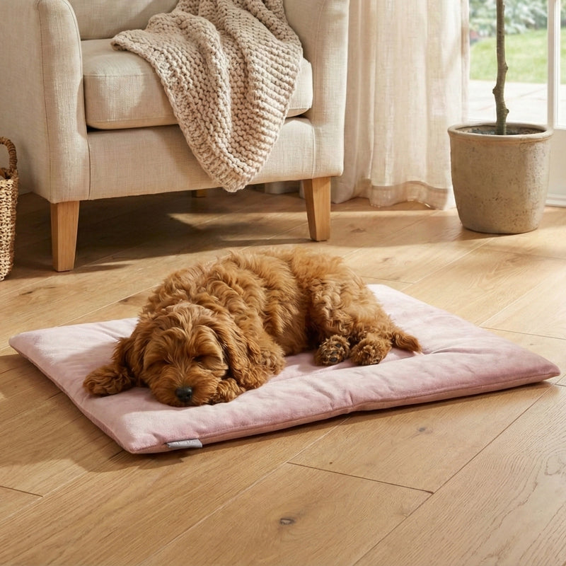 Pink PAWD crate pad and dog bed by KindTail, medium size, soft and comfortable for small to medium dogs.