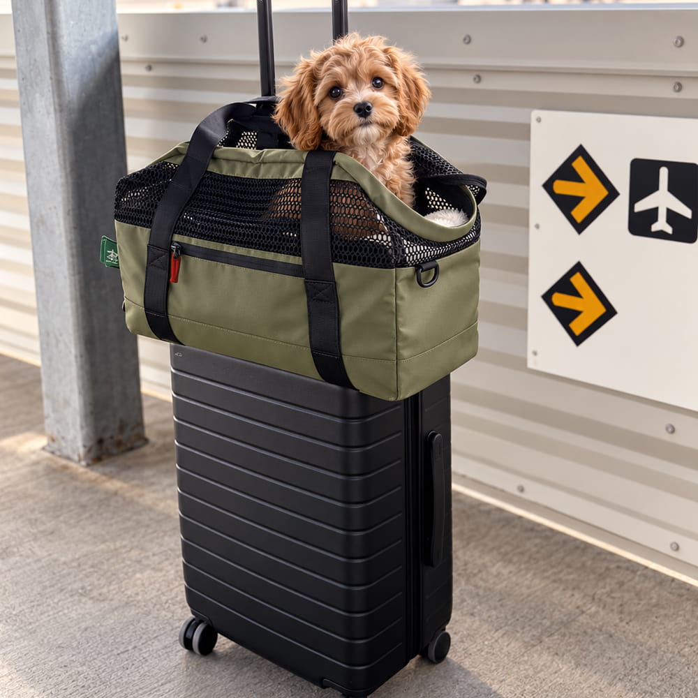 Green KindTail PAWD pet carrier bag designed for dogs, featuring a comfortable and secure carry design for small pets.