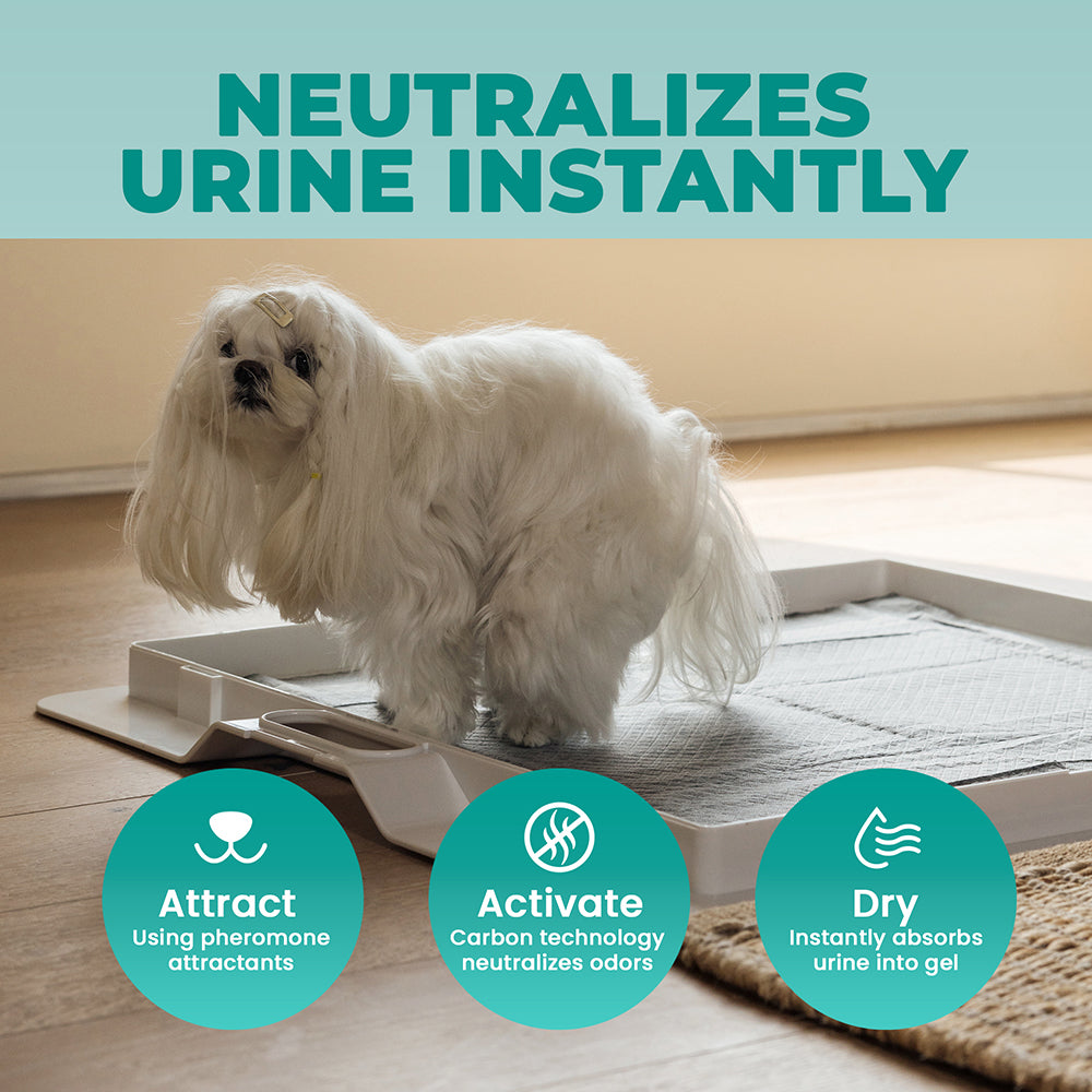 KindTail odor-filtering charcoal pee pads for dog potty training, showing absorbent surface with charcoal layer.