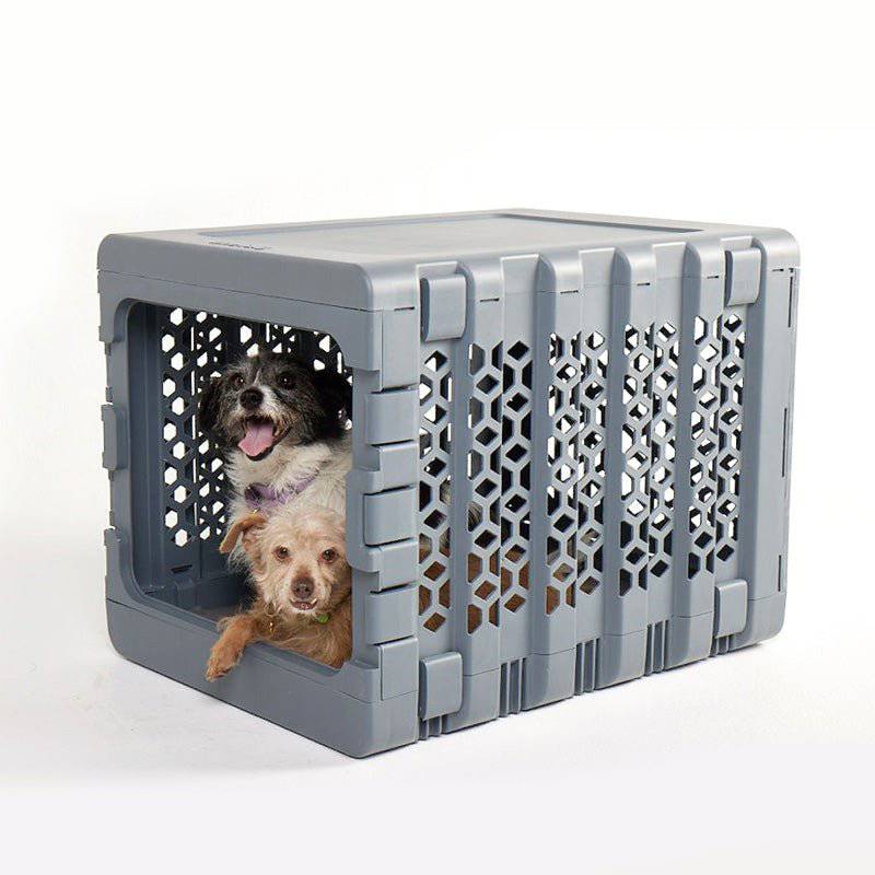 Modern dark grey plastic dog crate by KindTail with two dogs inside, featuring a collapsible pet crate design.