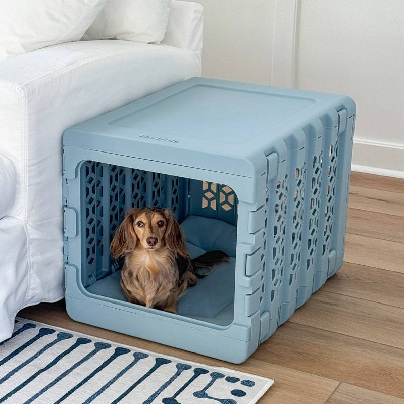 Modern blue plastic dog crate by KindTail, collapsible pet crate for medium-sized dogs, sturdy and easy to assemble.