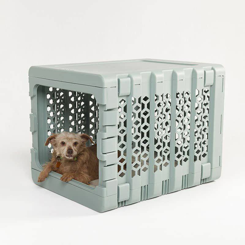Medium green modern plastic dog crate by KindTail with a brown dog inside, collapsible pet crate for dogs.
