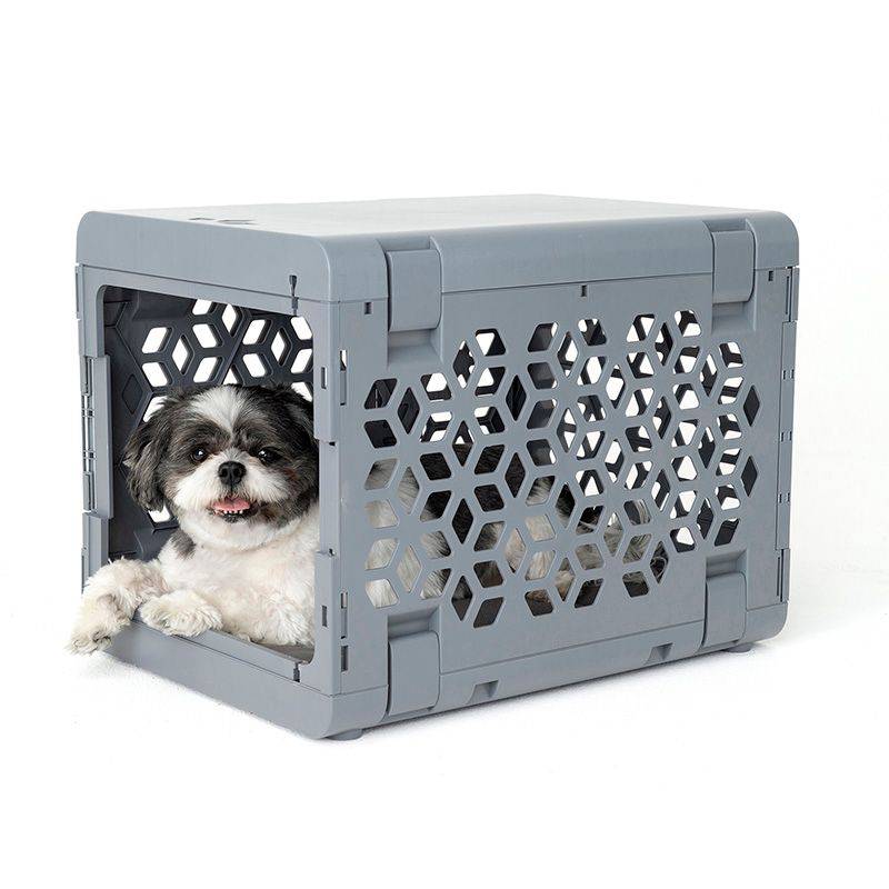 Small grey KindTail modern collapsible plastic dog crate with black and white dog inside, suitable for small pets.