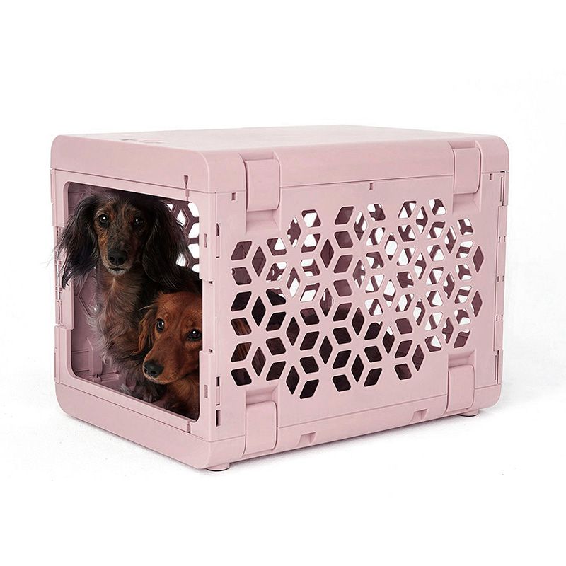 Small pink modern plastic dog crate by KindTail with two brown dogs inside, featuring a collapsible design for pets.