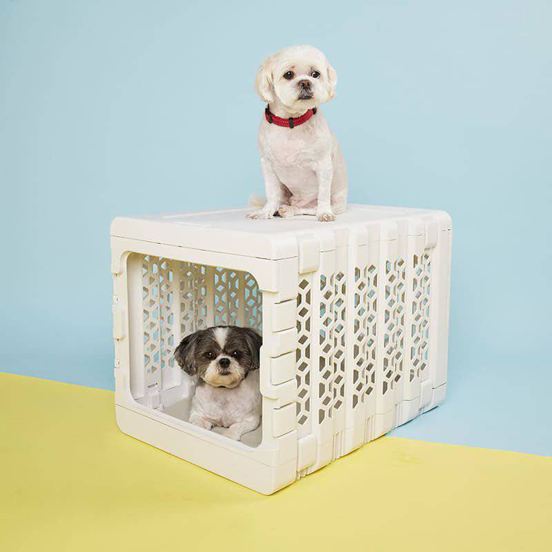 KindTail PAWD® | Modern Collapsible Plastic Dog &amp; Pet Crate in white with two dogs, one is inside the other is sitting on top of the crate