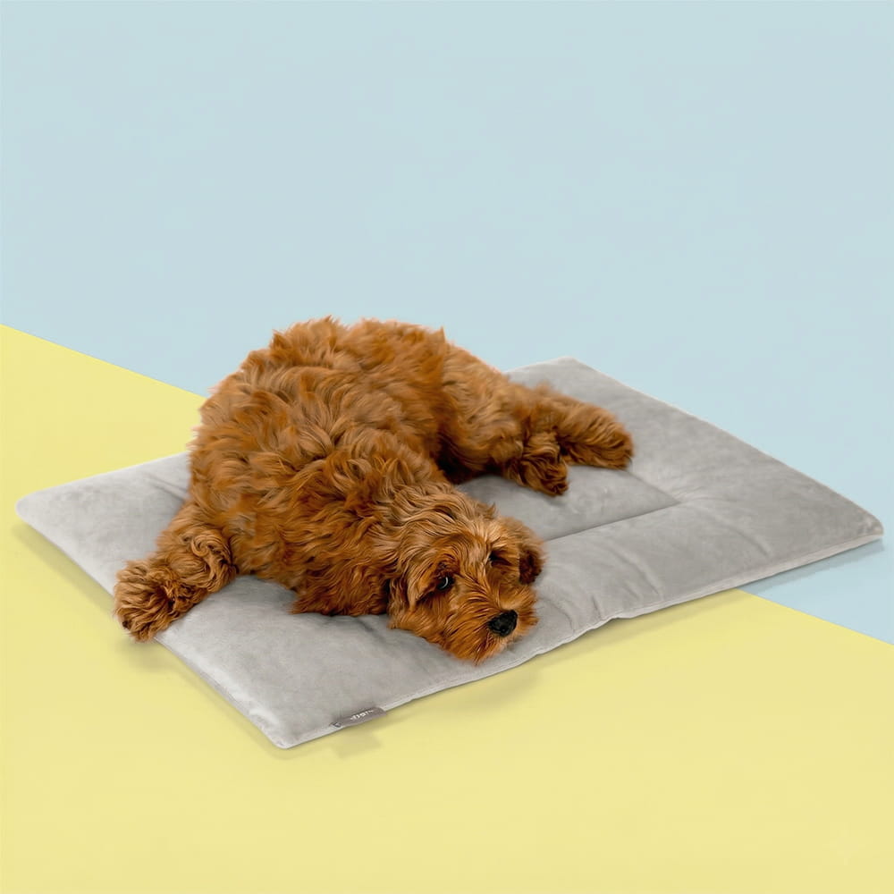 KindTail PAWD crate pad and dog bed with soft, cushioned surface for comfortable rest in a cozy dog bed setting