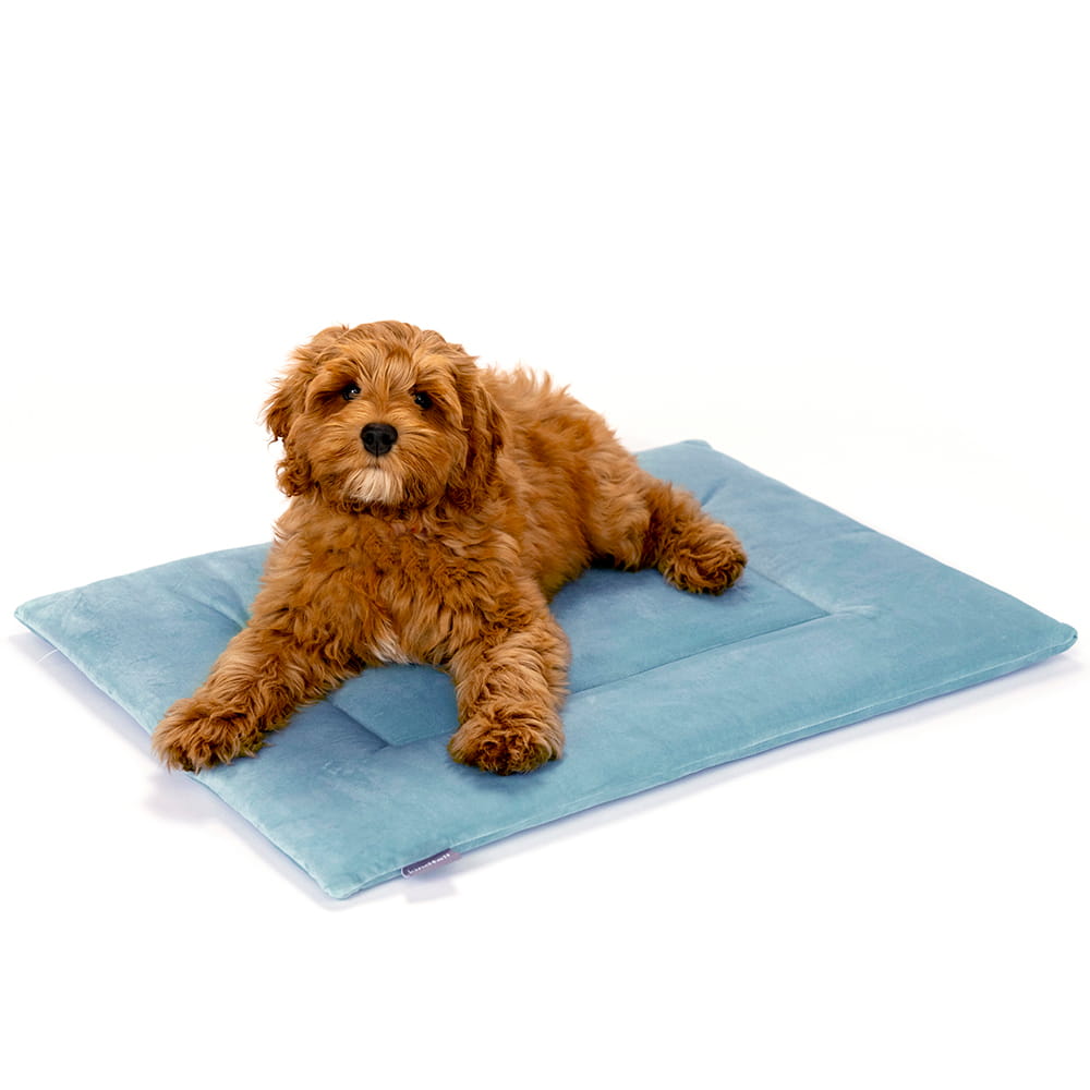 Blue PAWD crate pad and dog bed by KindTail, soft and cushioned for comfort in a cozy indoor space.