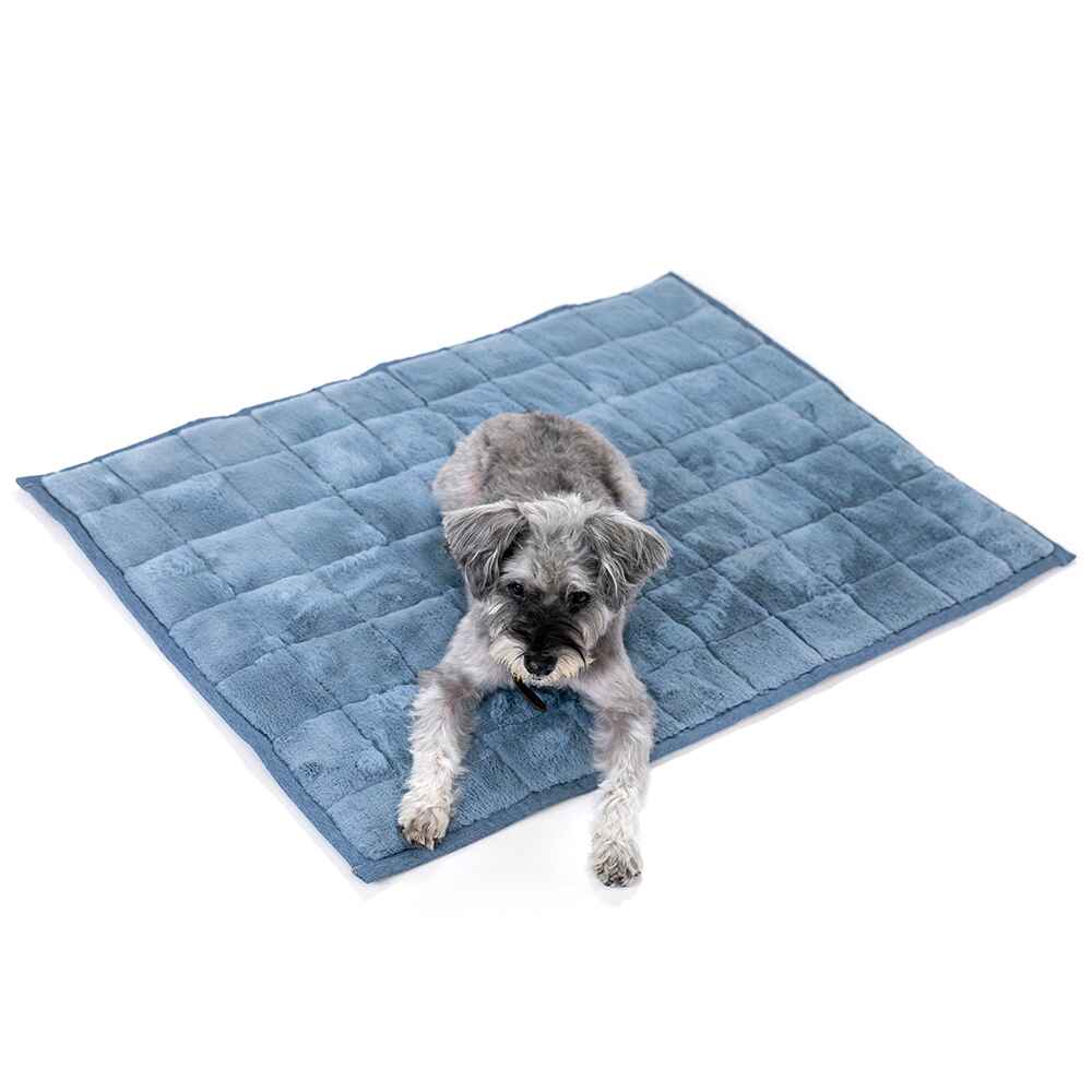 NomadNap - Travel & Portable Dog Bed - KindTail