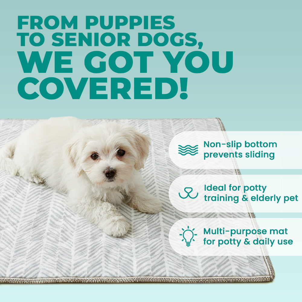 Lovewag Washable Dog Pee Pads - KindTail