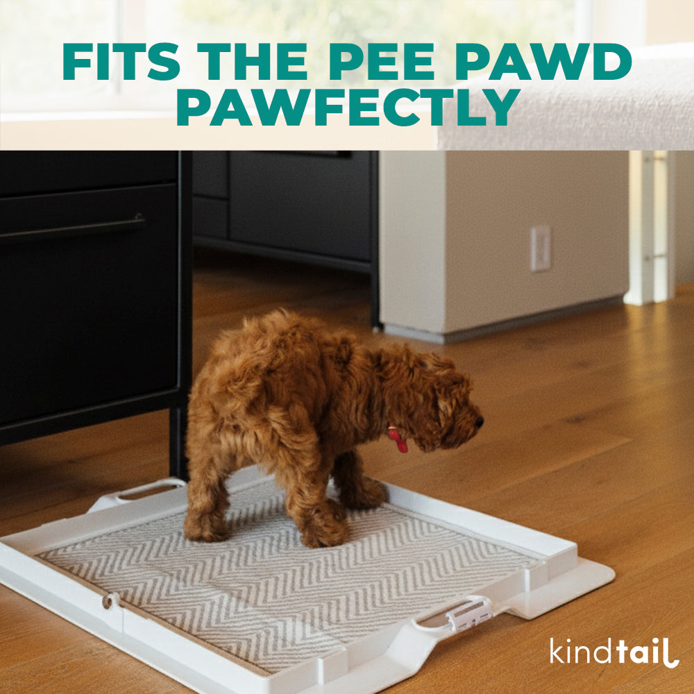 Lovewag Washable Dog Pee Pads - KindTail