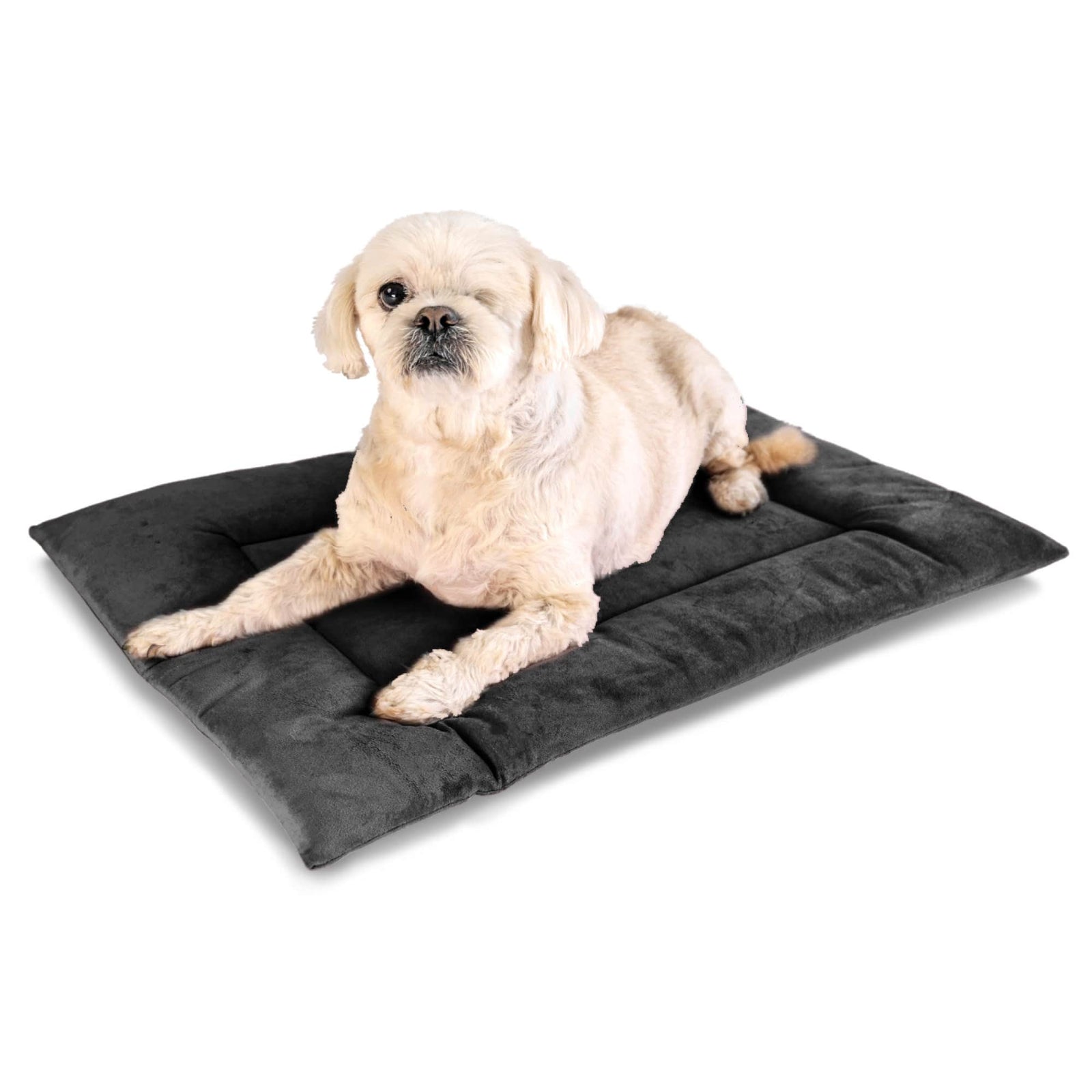 Soft PAWD crate pad and dog bed by KindTail, with plush fabric and supportive cushioning for comfortable pet rest.