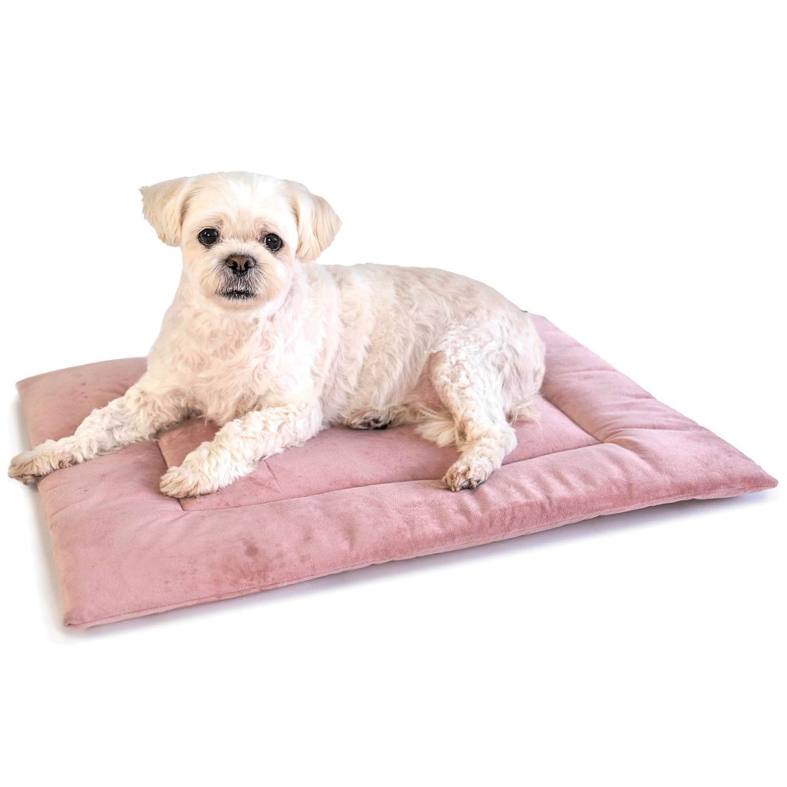 Soft PAWD crate pad and dog bed by KindTail, featuring plush fabric and supportive cushioning for comfortable pet resting.