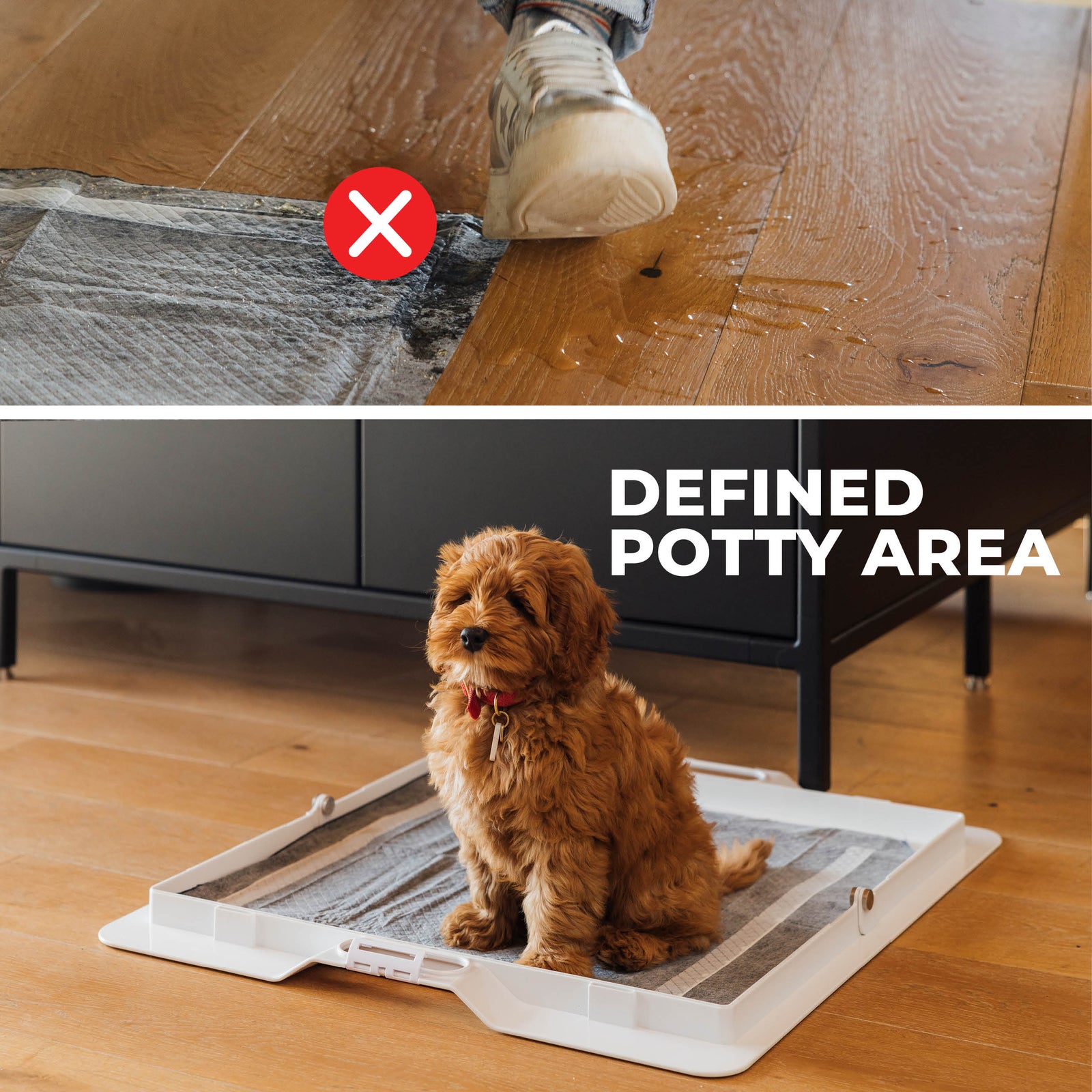 Potty Training Bundle - KindTail