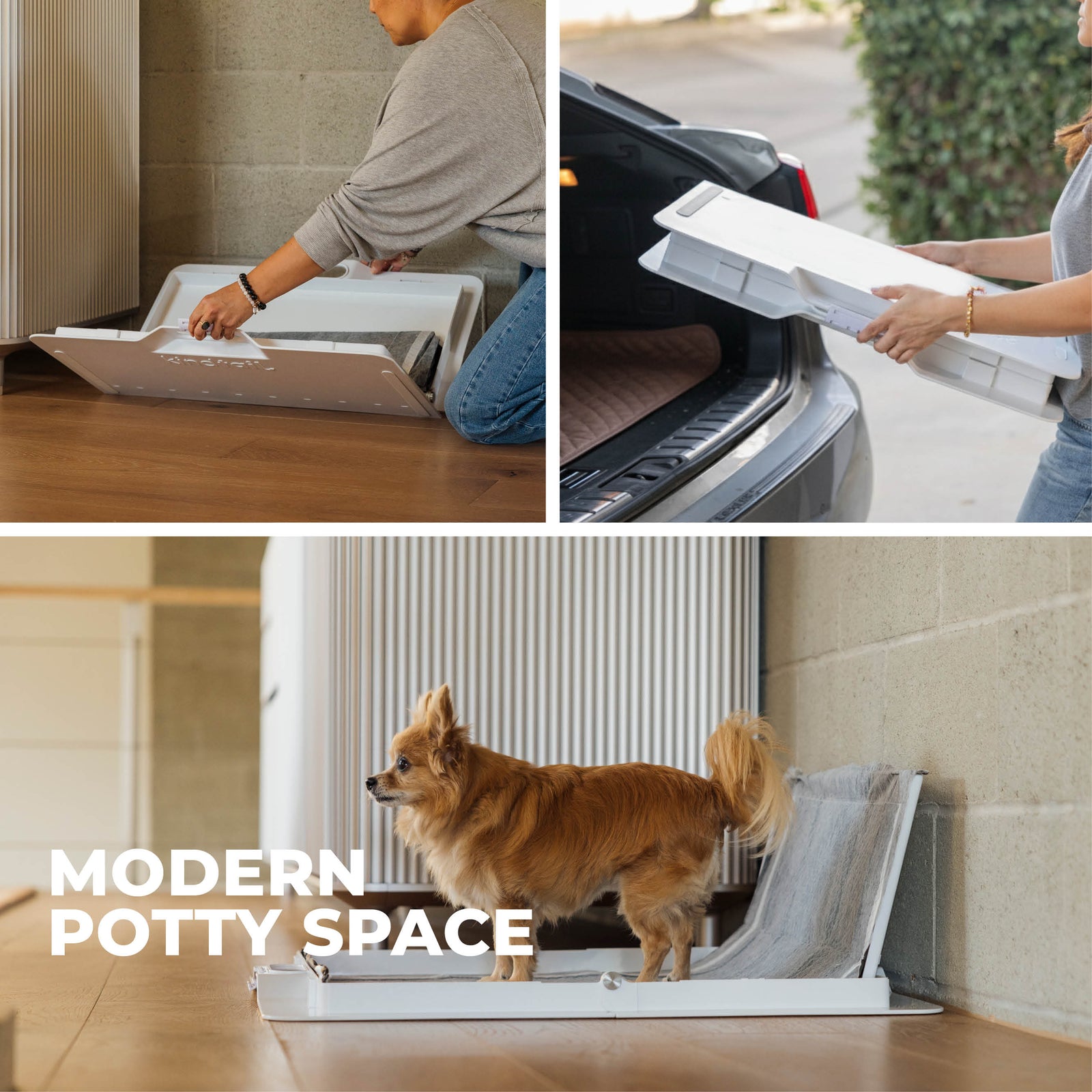 Potty Training Bundle - KindTail