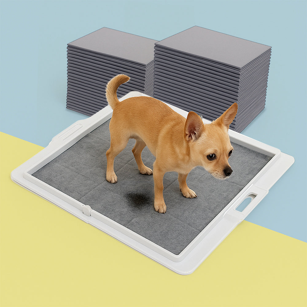 Potty Training Bundle - KindTail