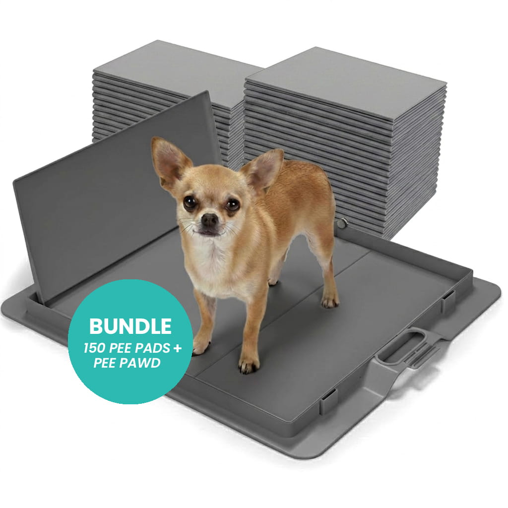 Grey Pee PAWD® dog potty training pee pad holder by KindTail with a sturdy frame for easy pad placement and training.