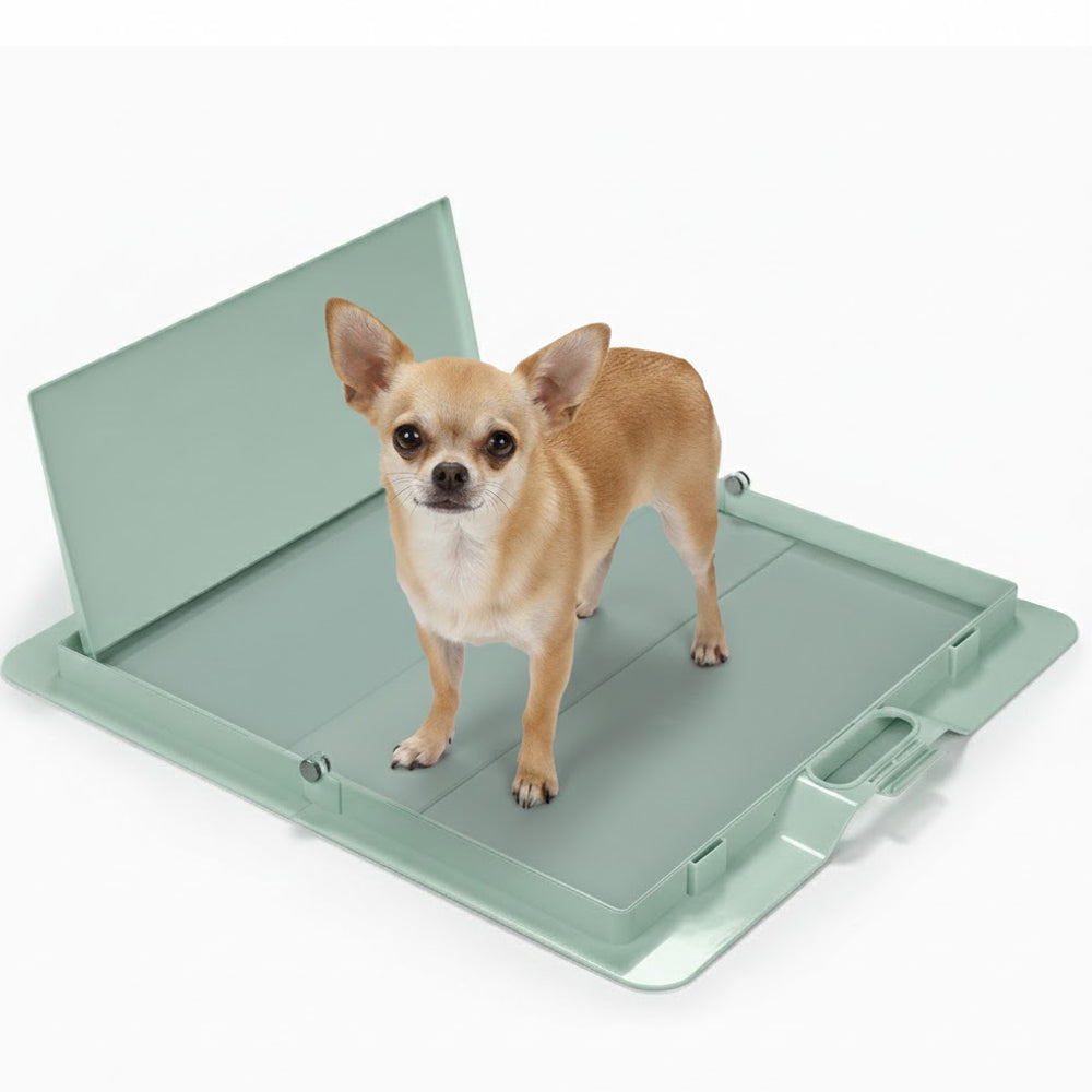 Pee PAWD® Pee Pad holder