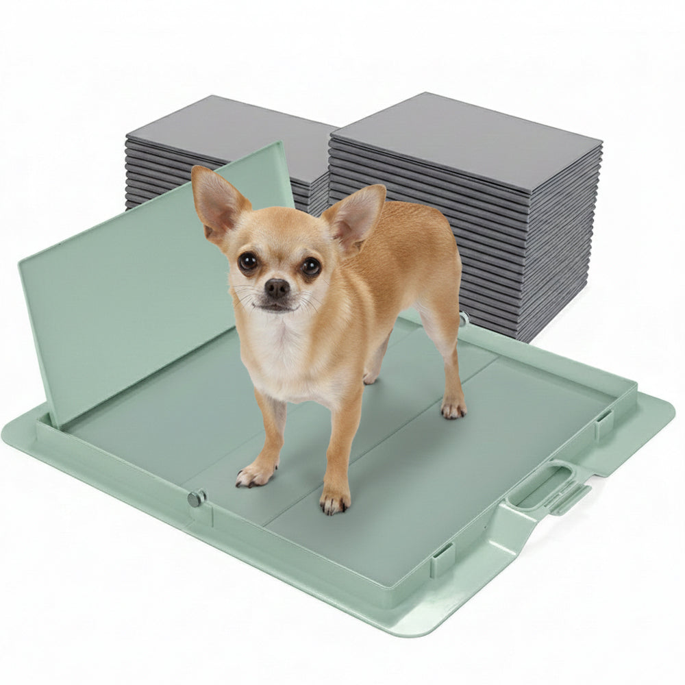 Potty Training Bundle