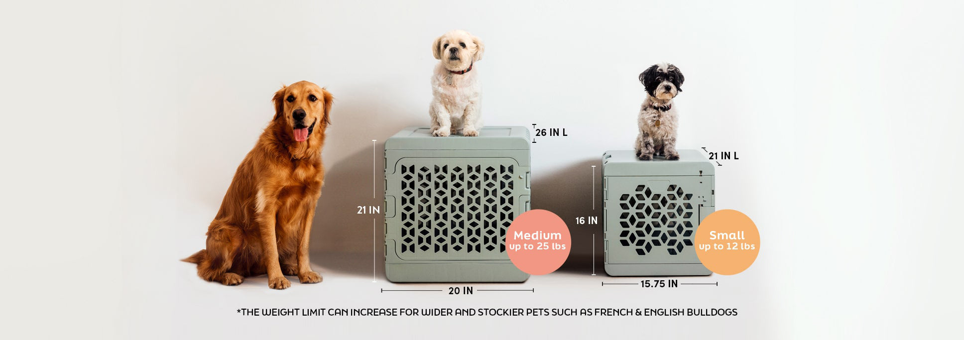 sizing guide for PAWD dog crate, medium crate is 21 inches high, 20 inches wide, and 26 inches in length. The small crate is 16 inches high, 15.75 inches wide, and 21 inches in length. The image has three dogs showing the size reference. On the medium crate is an 18 lb white dog and the small crate has 8 lb black and white dog on it