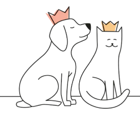 Image of dog and cat sitting next to each other