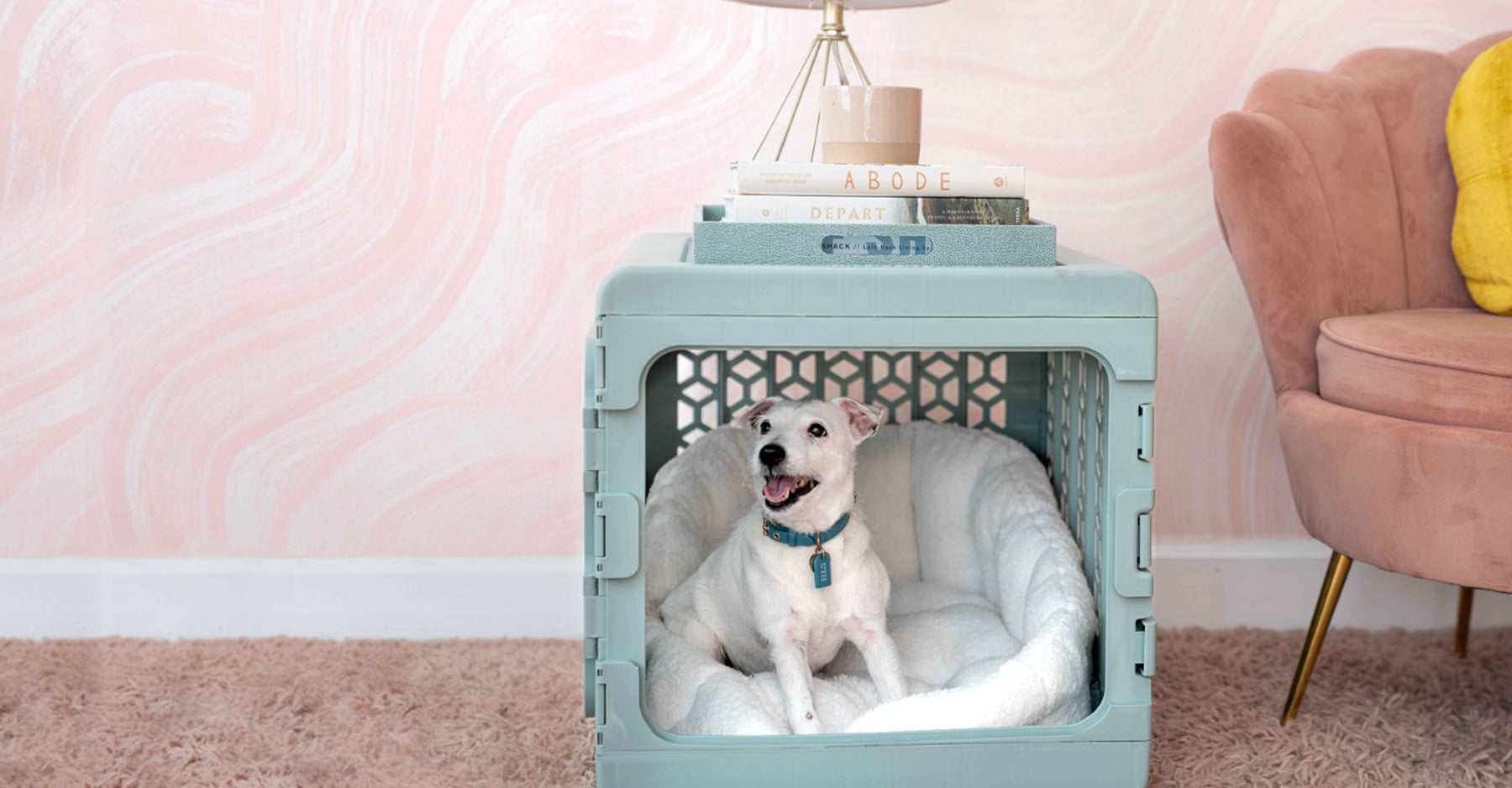 Medium Light Green Dog Crate and white dog inside the crate with white bed