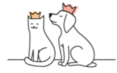 Image of dog and cat sitting next to each other