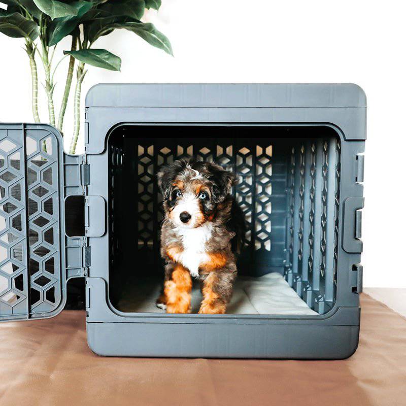 Modern collapsible plastic puppy crate by PAWD® for dogs, featuring a sturdy pet crate design from KindTail.