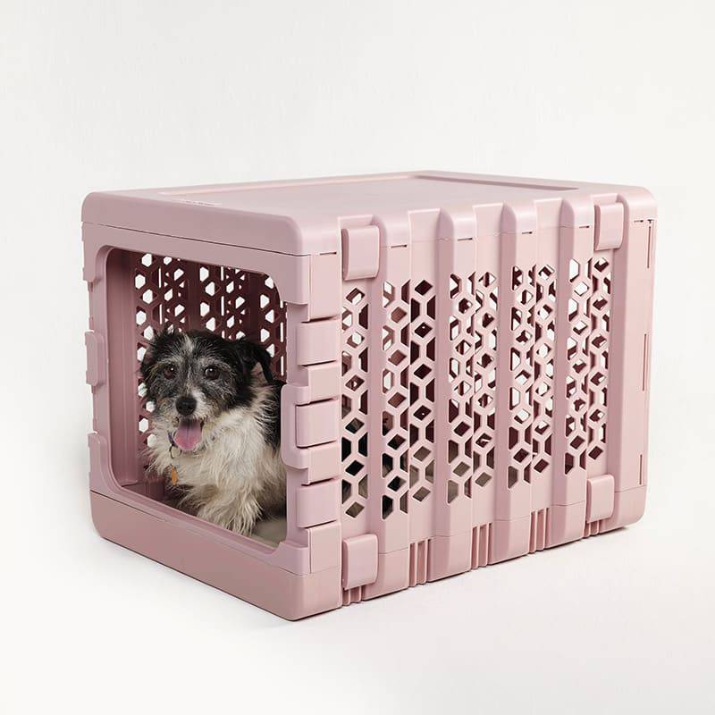 Modern collapsible plastic dog crate from PAWD® by KindTail, designed for puppies, with a sturdy, easy-to-clean pet crate structure.