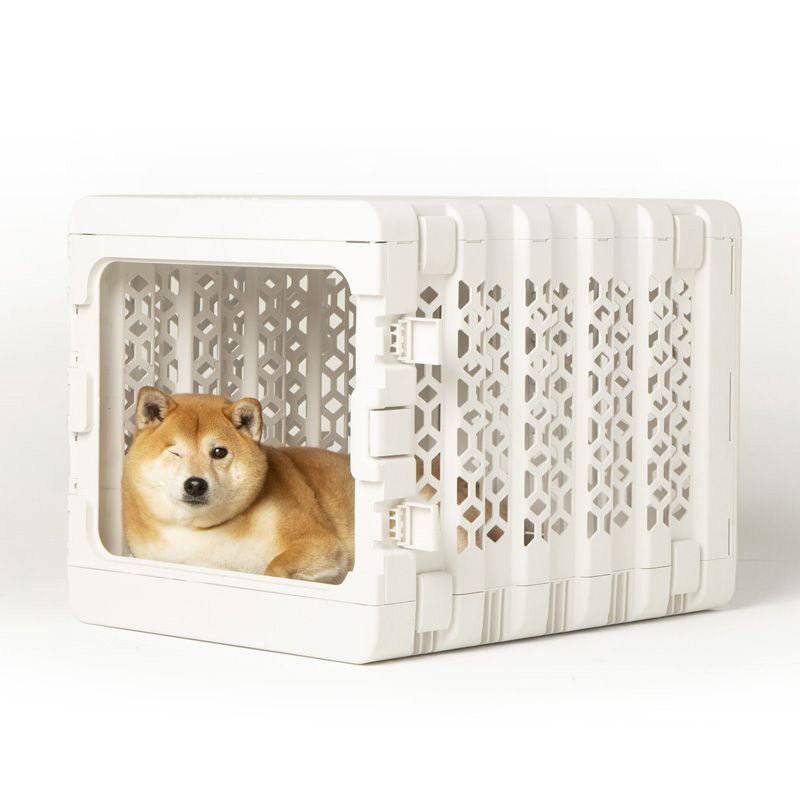 Modern collapsible plastic dog crate from PAWD® by KindTail, designed for puppies, with ventilation panels and a secure door.