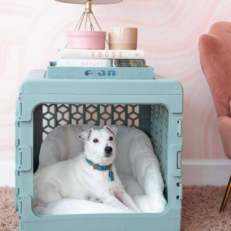 KindTail PAWD® puppy crate, a modern collapsible plastic pet crate with ventilation and secure latch for small dogs.