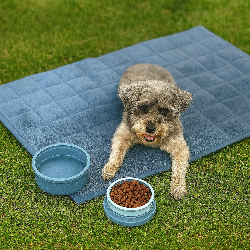Picnic Bundle I Portable Dog Bed and Bowls - KindTail