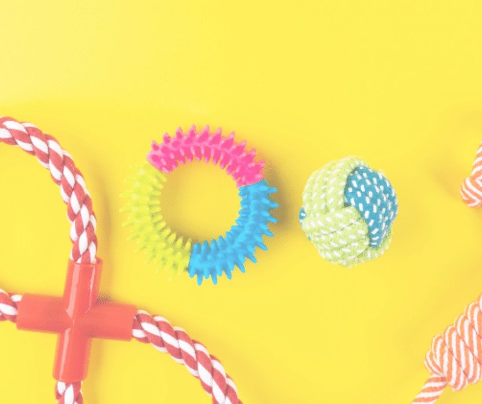 6 Items You Can Safely Place Inside a Modern Dog Crate - KindTail