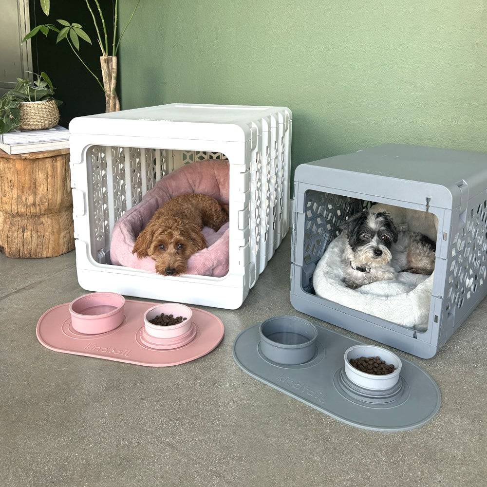 How to Choose the Right Crate for Your New Puppy