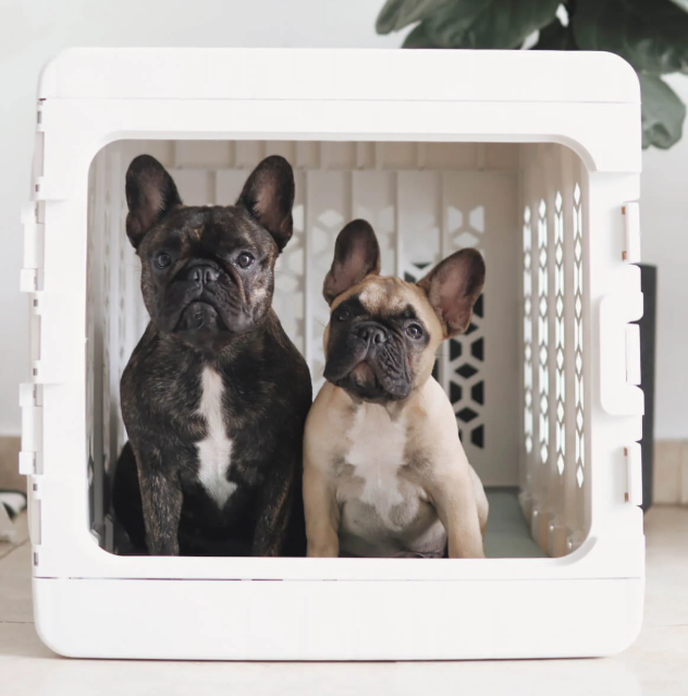 Why the PAWD® Collapsable Dog Crate is the Stylish Crate Your Dog Deserves