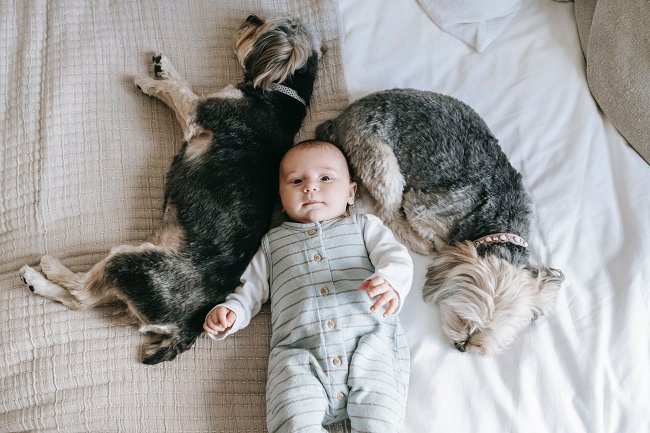 Advantages of Kids Who Grow Up with Dogs - KindTail