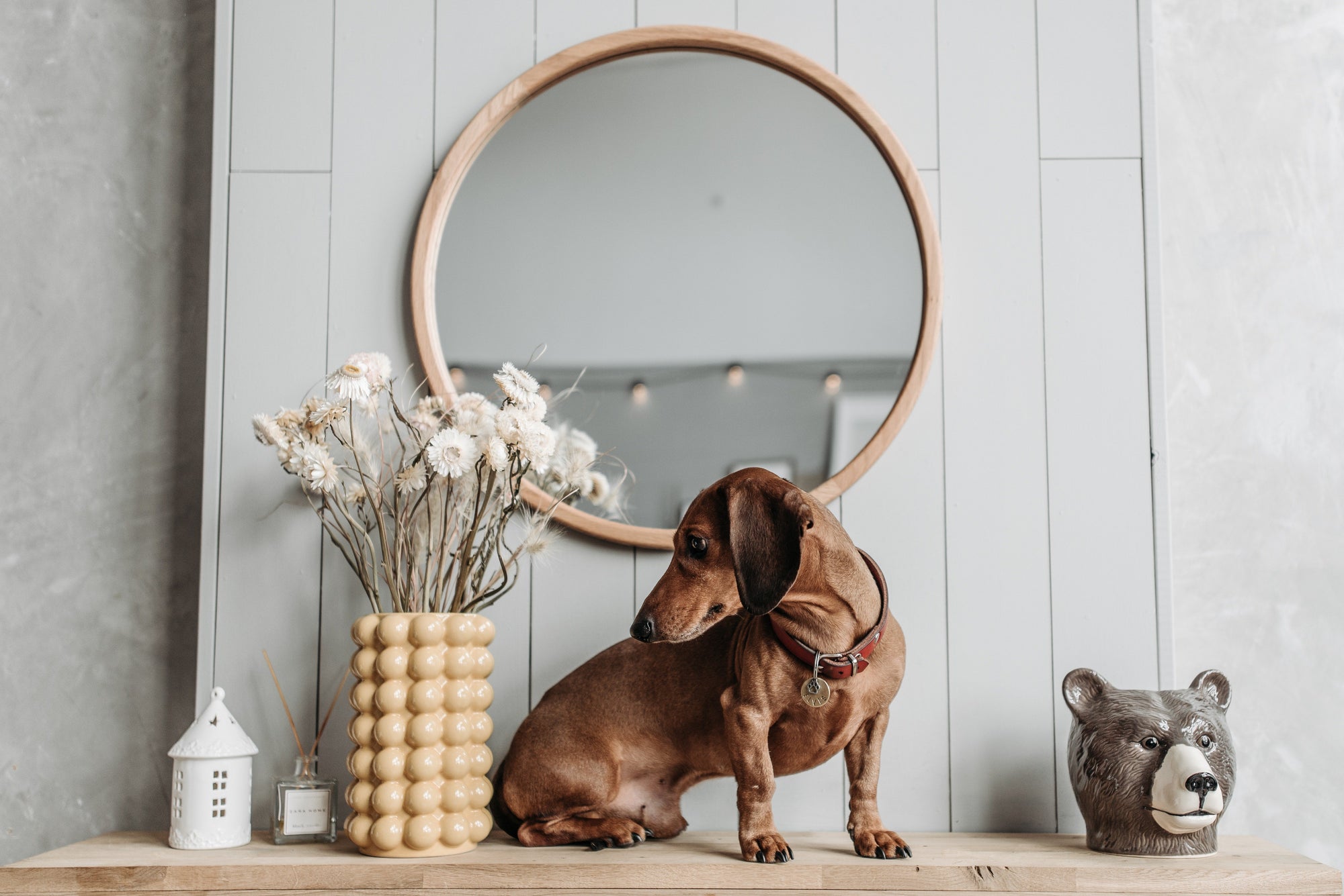 Florals for Spring? How to pick fur-baby-friendly florals for your home - KindTail