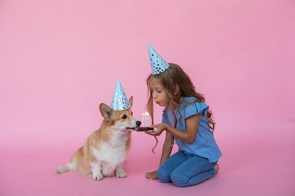 Fun Ideas for Celebrating Your Dog's Birthday - KindTail