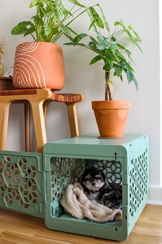 KindTail Pet Crate Mentioned in Apartment Therapy Design Profile - KindTail