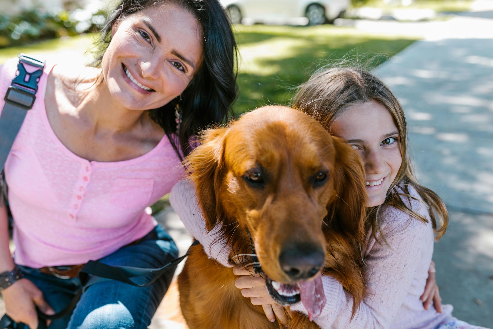 Navigating Pet Parenthood: Common Challenges and How to Overcome Them