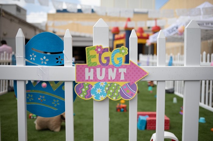 Plan an egg-citingly good Easter egg hunt for dogs - KindTail