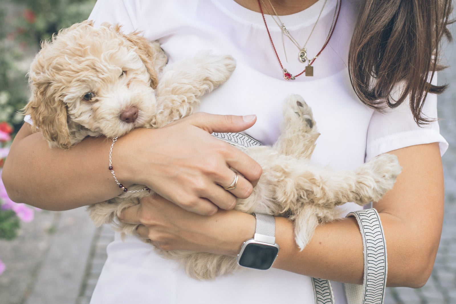 Vacay Ready: The dog-mom-approved travel checklist - KindTail