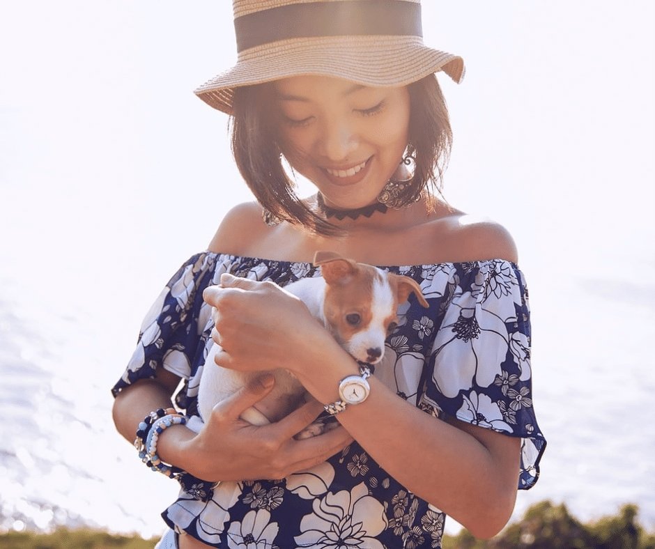 Why Kindness Matters: 10 Ways to Be Kind to Animals - KindTail